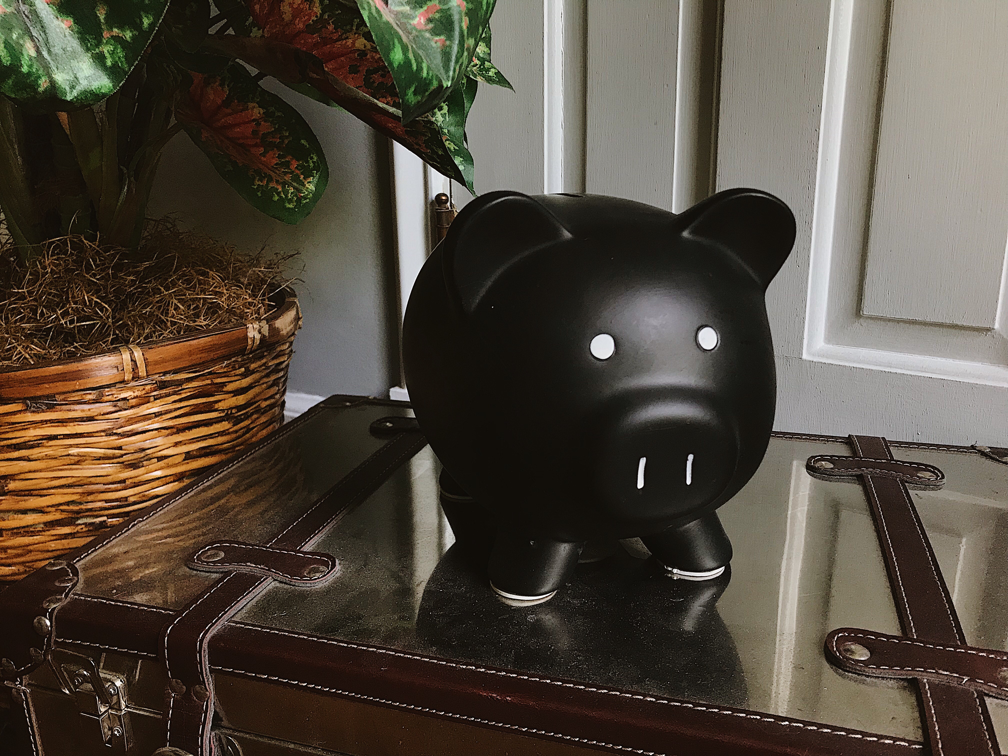 Photo of a black piggy bank with white eyes, snout, and hooves. Sitting on a metallic suitcase with a basket plant in the background.