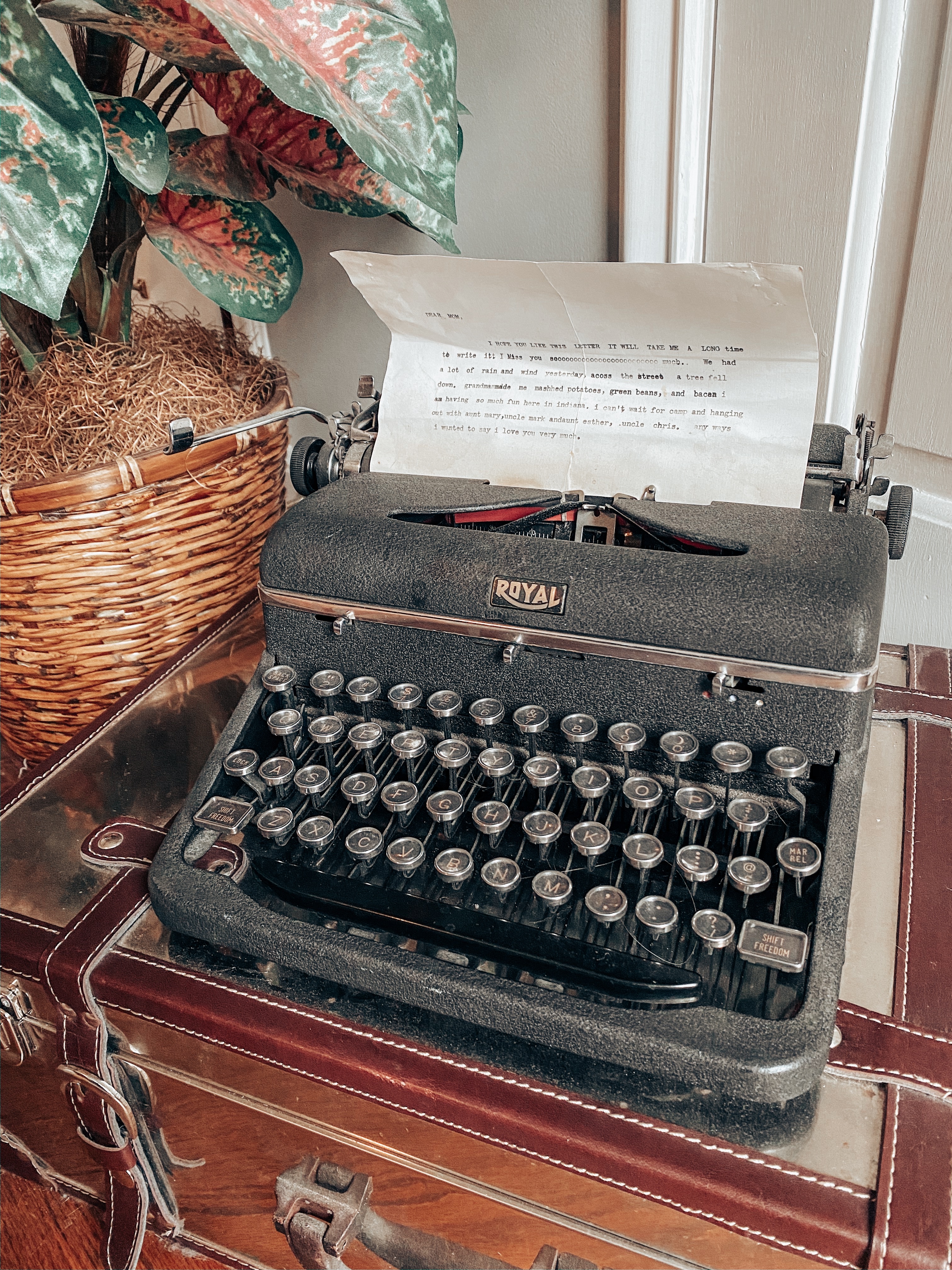 Image of typewriter on a metallic suitcase with a plant in the background.