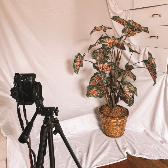 Image of Candace's photoshoot set with the camera on a tripod facing the scene.